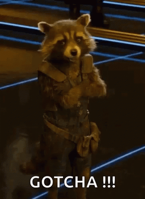 Rocket Racoon Smiling Gotcha GIF