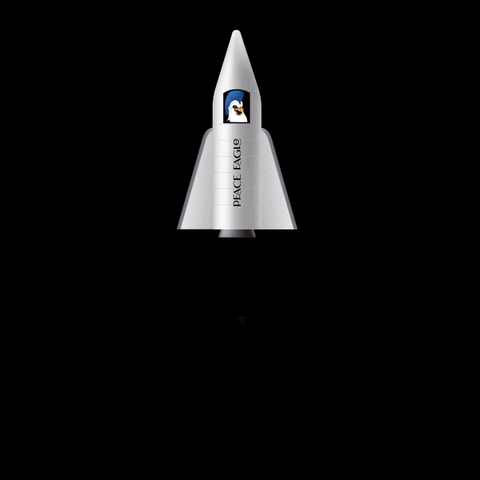 Rocket Ship Peace Eagle To The Moon GIF