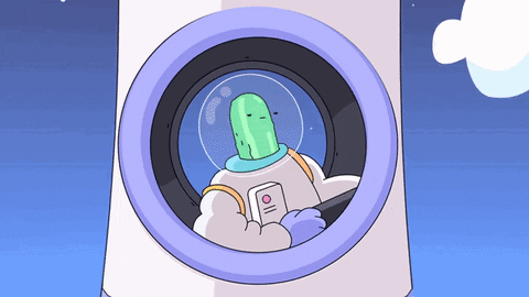 Rocket Ship Pickle Astronaut GIF