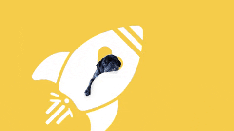 Rocket Ship Youre Welcome GIF