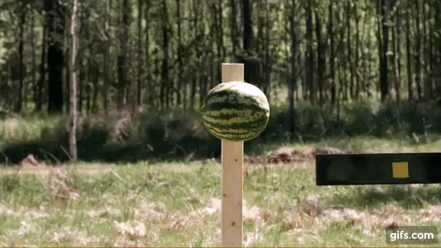 Rocket Slice Watermelon GIF