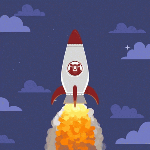 Rocket with Dog Picture Flying Through Night Sky