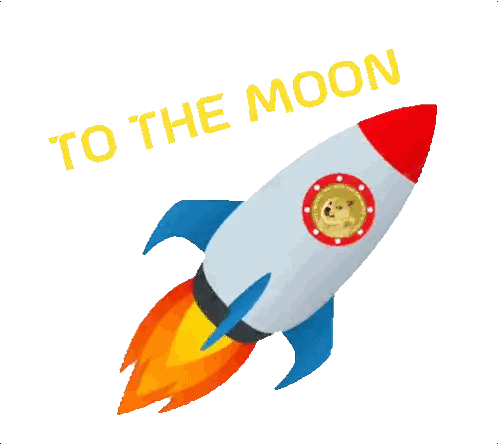 Rocket with Doge Coin to the Moon