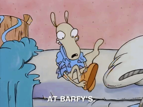 Rocko Asking Would You Like That? GIF