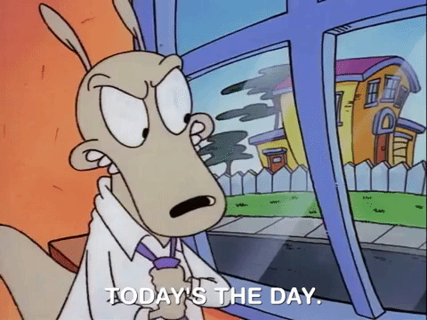 Rocko's Modern Life Todays The Day Angry Rocko GIF