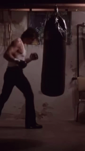 Rocky Balboa Boxing Training GIF