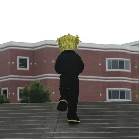 Rocky Balboa Stairs Training Parody GIF