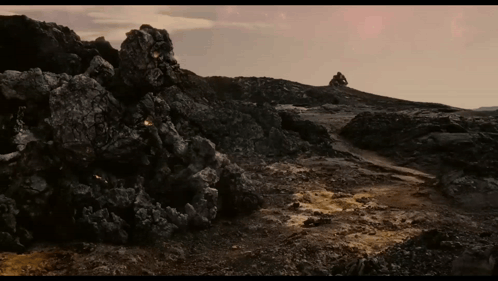 Rocky Dirt Landscape with Trees
