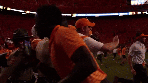 Rocky Top Fan Being Held By Police GIF