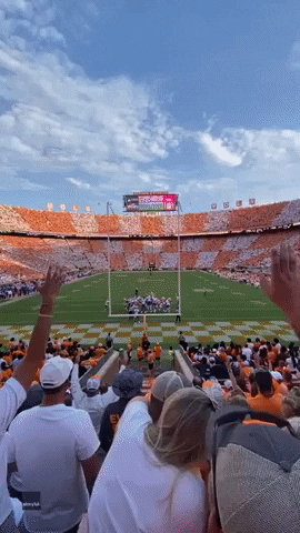 Rocky Top Fan Catches Ball GIF