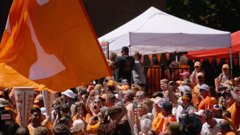 Rocky Top Fan Waving Flag GIF