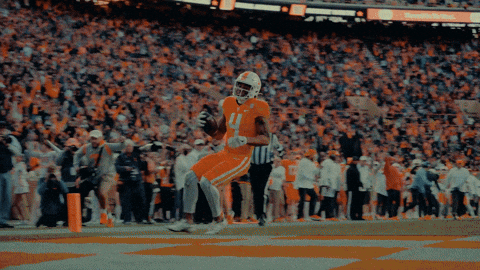 Rocky Top Player Holding Ball GIF