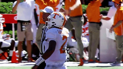 Rocky Top Player Walking Head Up GIF
