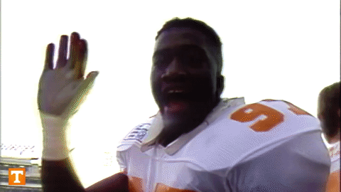 Rocky Top Waving Happily On Camera GIF