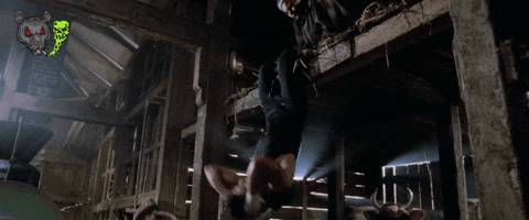 Rocky Training Hanging Upside Down GIF