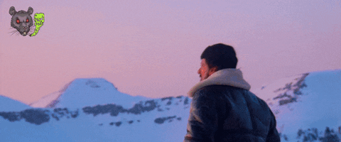 Rocky Training Snowy Mountain Celebration GIF