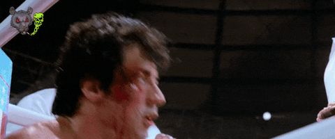 Rocky Training Sylvester Stallone Fight Night GIF
