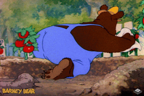 Rodent Eats Barney Bear Tomato Plants GIF