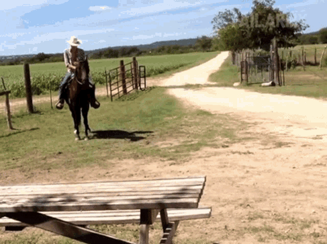 Rodeo Horse Gif GIF