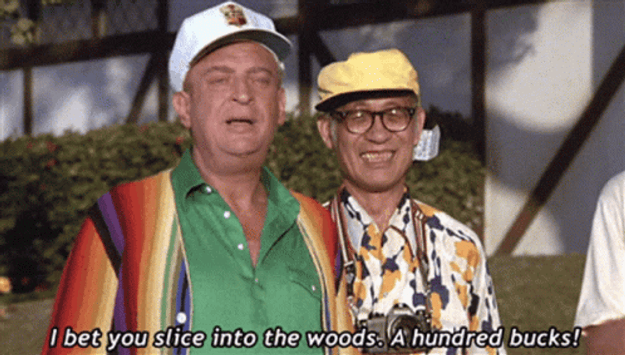 Rodney Dangerfield Says A Hundred Bucks GIF