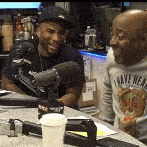 Rofl Brilliant Idiots Podcasts GIF