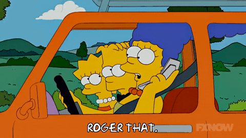 Roger Roger Drive The Simpsons GIF