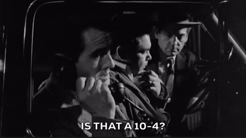 Roger Roger Stakeout On Dope Street GIF