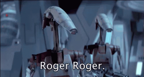 Robot Guards Roger Roger That GIF