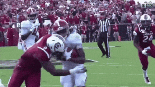 Alabama Roll Tide Football Game GIF