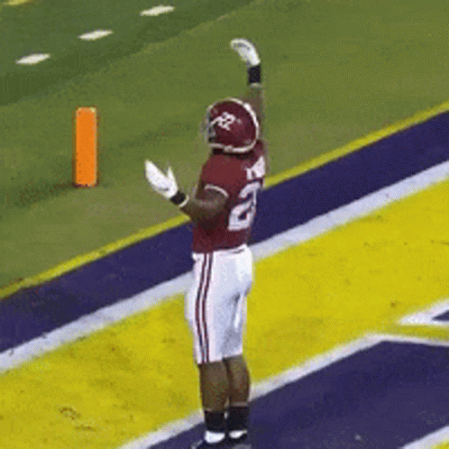 Alabama Crimson Roll Tide GIF