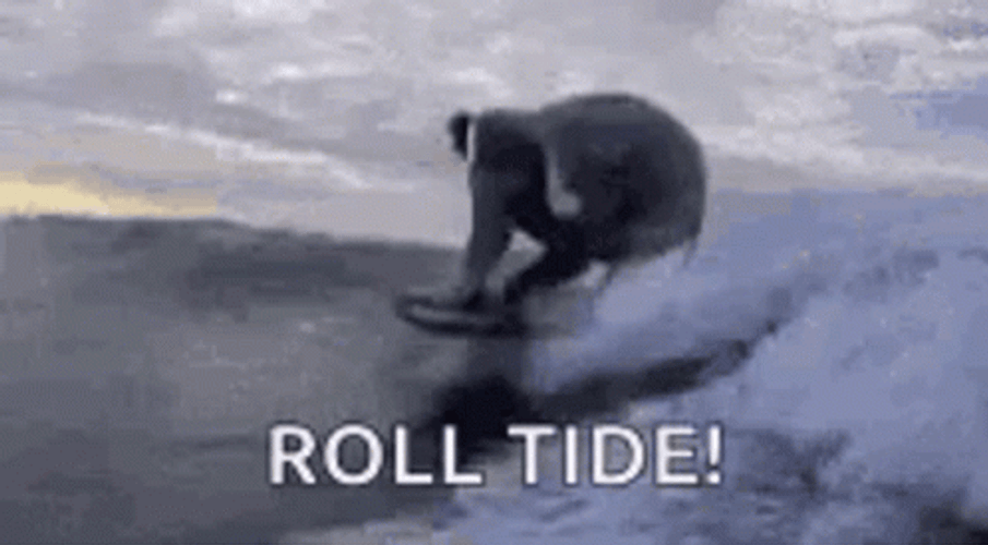 Roll Tide Elephant GIF