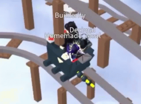 Roller Coaster Builderty Decimal Homemade Meal