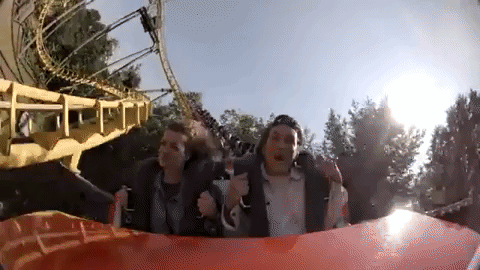 Roller Coaster Exciting Loop Ride GIF