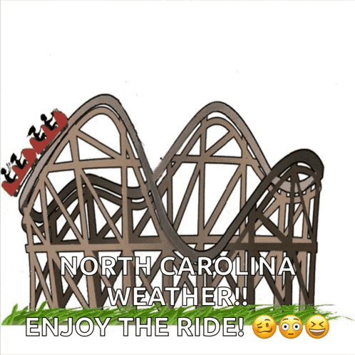 Roller Coaster North Carolina Weather Enjoy The Ride GIF