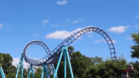 Roller Coaster Ride Zoomerang GIF