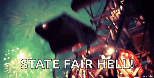 Roller Coaster Saying State Fair Hell