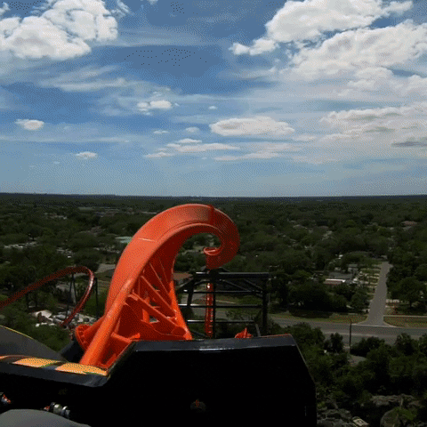 Roller Coaster Tigris Busch Gardens GIF