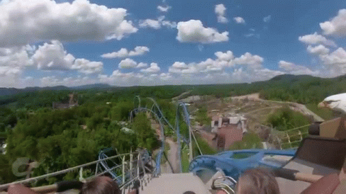 Roller Coaster With Bald Eagle On Top