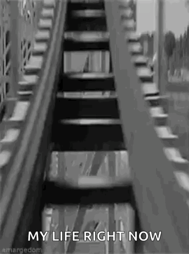 Roller Coaster With My Life Right Now GIF