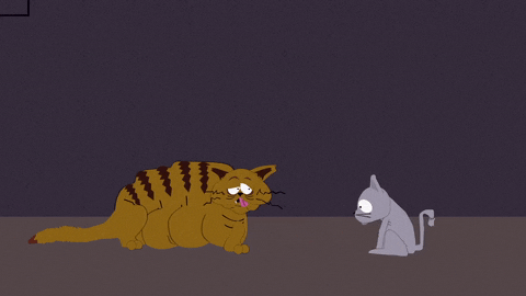 Rolling Mr Kitty South Park GIF