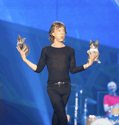 Rolling Stones Mick Jagger Holding Kitties GIF