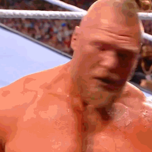 Roman Reigns Brock Lesnar GIF