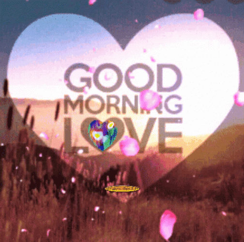 Romantic Good Morning Love Heart Flower Petals GIF
