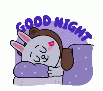 Romantic Good Night My Love Cony Brown GIF