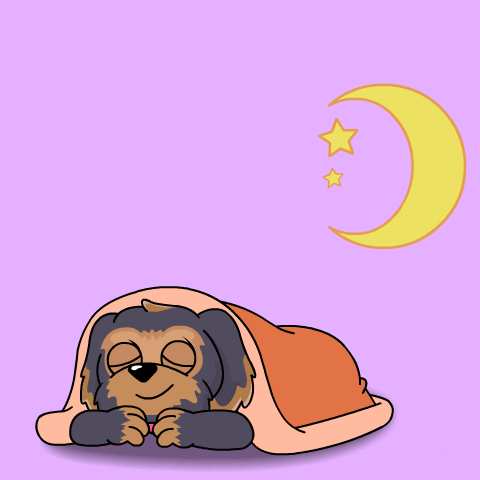 Romantic Good Night My Love Sweet Cartoon Dog GIF