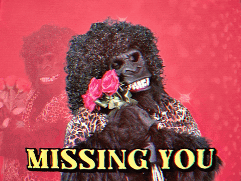 Romantic Gorilla Mascot GIF