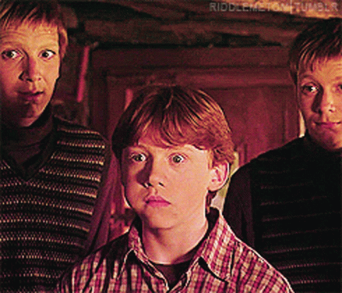 Ron George And Fred Weasley GIF