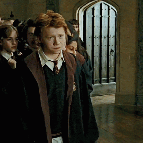 Ron In Gryffindor Robe GIF