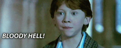 Ron Weasley Bloody Hell GIF