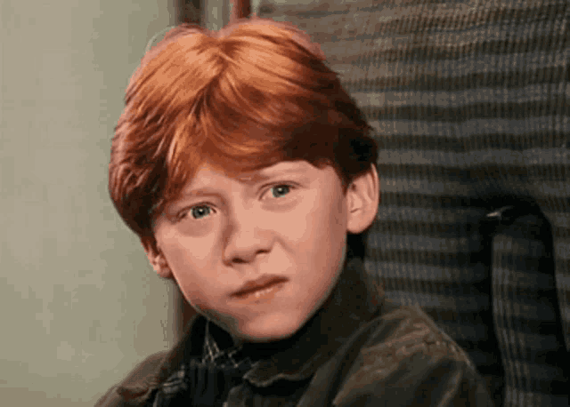 Ron Weasley Harry Potter Gif GIF